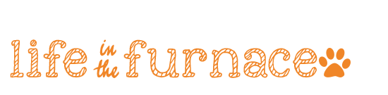Life In The Furnace